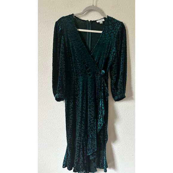 Calvin Klein Animal Print Velvet Burnout Dress Sz. 6 - Picture 14 of 16